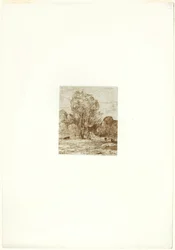 Il pascolo delle mucche