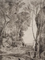 Il piccolo pastore