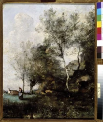 La betulla