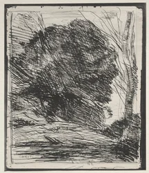 Alberi sulla montagna, impressione originale 1856, stampata nel 1921