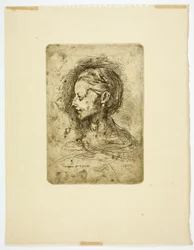 Testa femminile