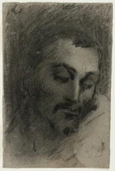 Testa di uomo