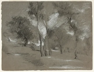 Paesaggio con alberi