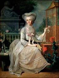 Giovane donna a una gabbia