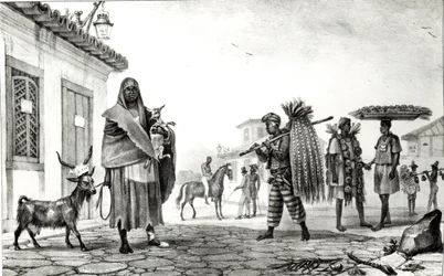 Casa in affitto, cavallo e capra in vendita, da 
