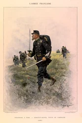 Tipi e uniformi dell