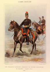 Tipi e uniformi dell