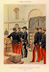 Tipi e Uniformi dell
