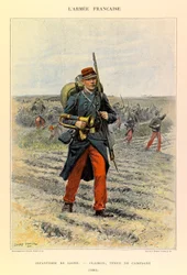 Tipi e uniformi dell