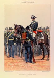 Tipi e uniformi dell