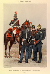 Tipi e uniformi dell