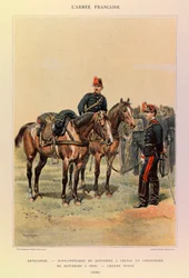 Tipi e uniformi dell