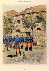 Tipi e uniformi dell