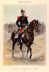 Tipi e uniformi dell
