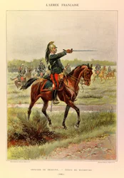 Tipi e uniformi dell