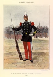 Tipi e uniformi dell