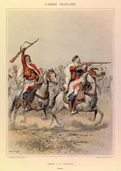 Tipi e uniformi dell