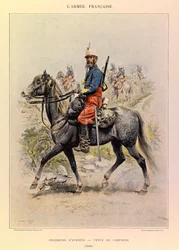 Tipi e uniformi dell