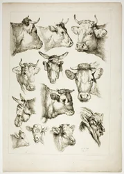 Tavola 35 di 38 da Oeuvres de J. B. Huet