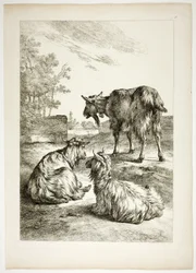 Tavola diciotto di 38 da Oeuvres de J. B. Huet