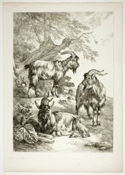 Tavola diciassette di 38 da Oeuvres de J. B. Huet