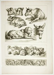 Tavola venti di 38 da Oeuvres de J. B. Huet