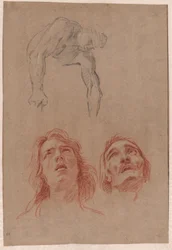 Uomo che si Porge e Due Studi di Teste (recto)