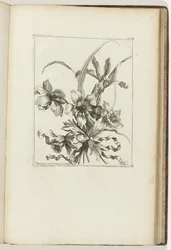 Bouquet legato (Les Petits Bouquets)