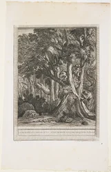 Il drago dalle molte teste, Favola XII, c. 1753-1755