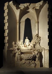 Immagine sconosciuta