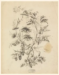 Ramo di un albero fantastico