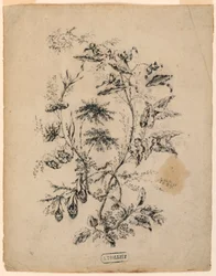 Disegno, Ramo di un albero fantastico, 1775-1800