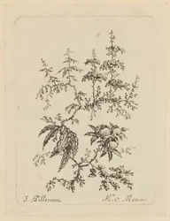 Fiore fantastico