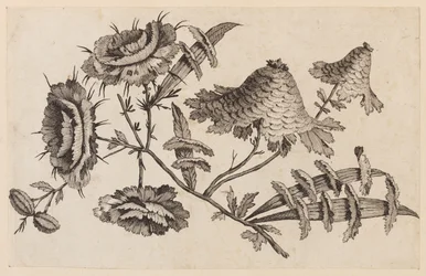 Ramo di fiore, da "Recueil de Fleurs Chinois"