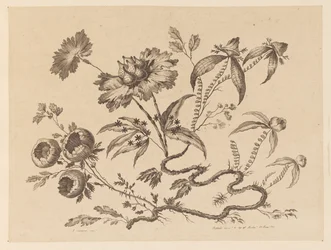Rami di fiori, da "Recueil de Differentes Fleurs de Fantaisie Dans le Goût Chinois"