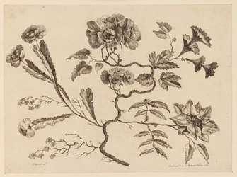 Rami di fiori, da "Recueil de Differentes Fleurs de Fantaisie Dans le Goût Chinois"