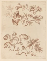 Rami di fiori, da "Recueil de Differentes Fleurs de Fantaisie Dans le Goût Chinois"