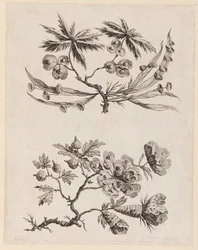 Rami di fiori da "Recueil de Fleurs Chinois"