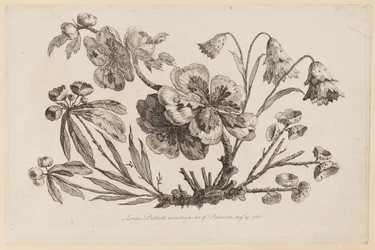 Rami Fioriti, da "Recueil de Fleurs de Chinois"