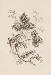 Ramo di fiori, da "Fleures Persannes"