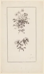 Rami di fiori, da "Divers Bouquets d