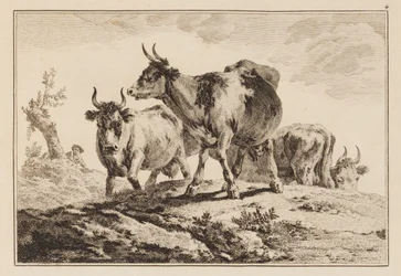 Tavola 4, da "Cahier de Six Feuilles de Boeufs et Vaches"