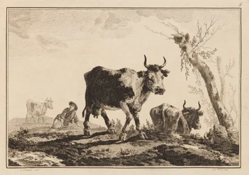 Tavola 5, "Cahier de Six Feuilles de Boeufs et Vaches"