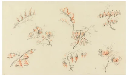 Mazzi di sette fiori ideali e di un fiore quasi naturalistico
