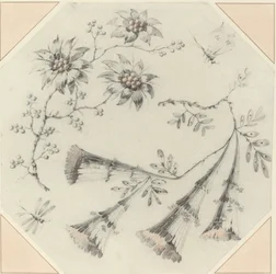 Fiori di tromba e margherite