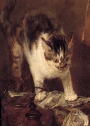 Natura morta con razza, pesci, ostriche e brocca. Dettaglio di gatto. 1727. 1,14 x 1,46 m. Parigi, Museo del Louvre