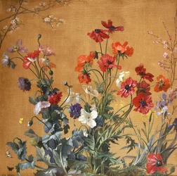 Papaveri, iris e fiori