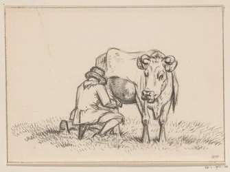 Una mucca viene munta