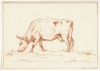 Mucca al pascolo, a sinistra