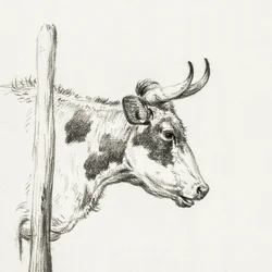 Testa di mucca, verso destra (1820)